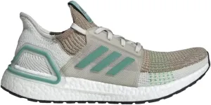 adidas Men's Ultraboost 19